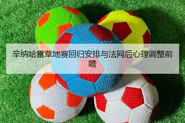 xin-na-ha-lei-cao-di-sai-hui-gui-an-pai-yu-fa-wang-hou-xin-li-tiao-zheng-qian-zhan-2-483.jpg